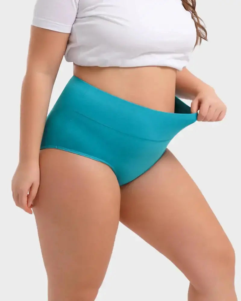Full-Figured High-Waisted Comfort Underwear 4-Pack Norvantar