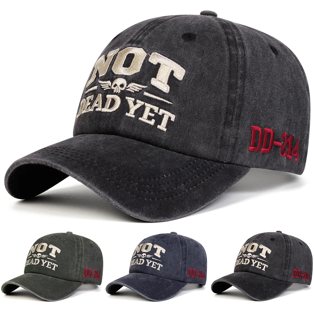 NOT DEAD YET Veteran Dad Hat Norvantar