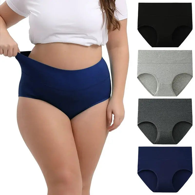 Full-Figured High-Waisted Comfort Underwear 4-Pack Norvantar