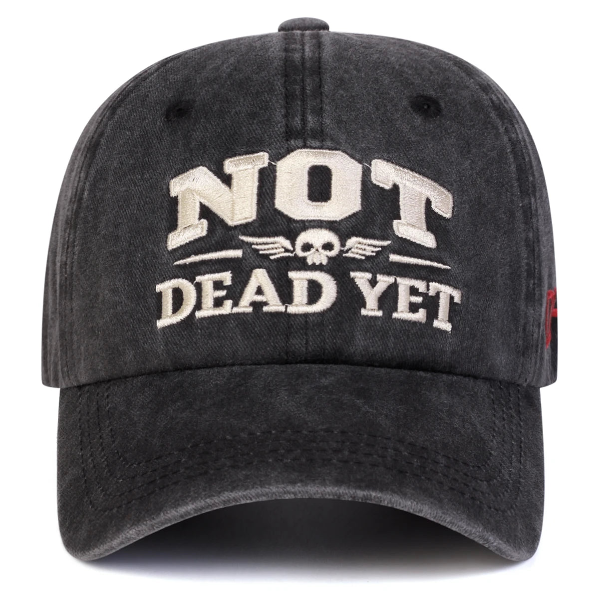 NOT DEAD YET Veteran Dad Hat Norvantar