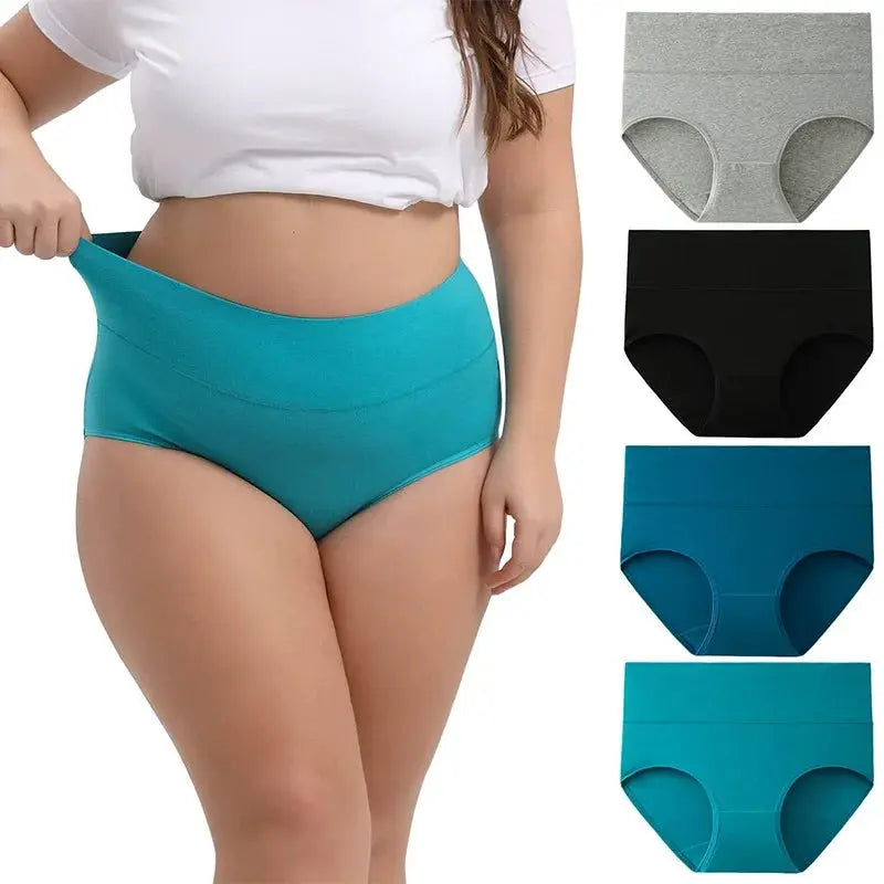 Full-Figured High-Waisted Comfort Underwear 4-Pack Norvantar