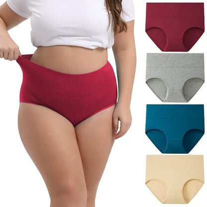 Full-Figured High-Waisted Comfort Underwear 4-Pack Norvantar