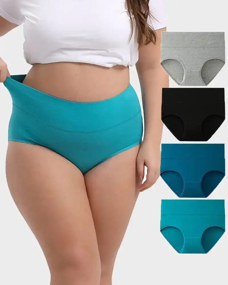 Full-Figured High-Waisted Comfort Underwear 4-Pack Norvantar