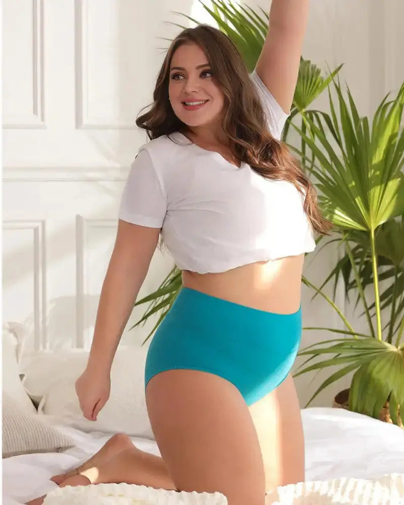 Full-Figured High-Waisted Comfort Underwear 4-Pack Norvantar